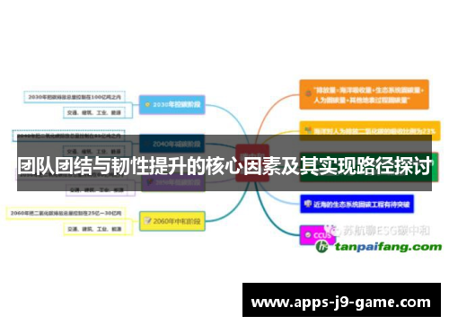团队团结与韧性提升的核心因素及其实现路径探讨 团队团结与韧性提升的核心因素及其实现路径探讨