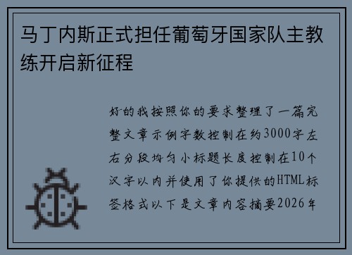马丁内斯正式担任葡萄牙国家队主教练开启新征程
